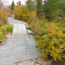 Landscape Ideas