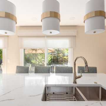 Palatine Mini Renovation