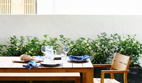 Weather-Friendly Woods to Use Outdoors