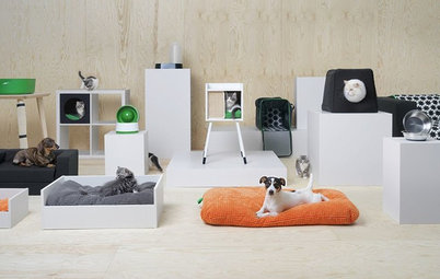 Com’è Lurvig, la Nuova Serie di Ikea per Animali?