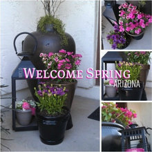 primavera