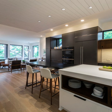 Minneapolis Whole Home Renovation