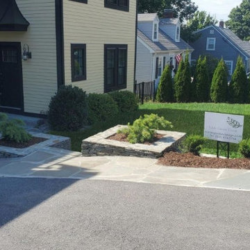 Front yard and front entrance