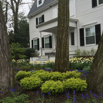 A glade of flowers replaces a Cambridge front lawn