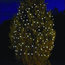 Selections Solar Powered 100 LED String, Bright White