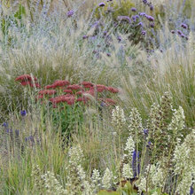 prairie landscape