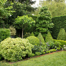 Backyard garden