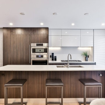 Mount Pleasant Road Renovation, Toronto