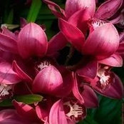 Sonnie Kamwati's photo