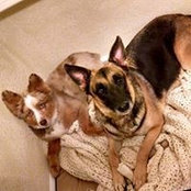 Vicki Benevides's photo