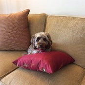 Joanne Prasad's photo