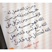 أميرة حلمي's photo