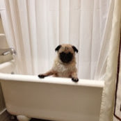 Alan Wynn's photo
