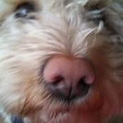 Jan Gunderson's photo