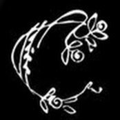 Kim Cilley's photo