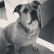 Beth MacCalmon's photo