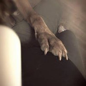 Es We's photo