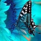 Thomasina Plourde's photo