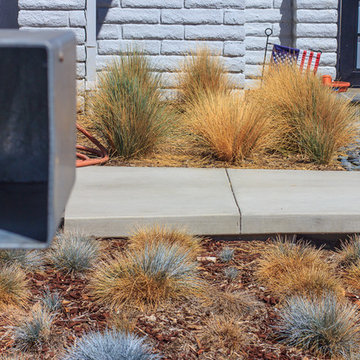 Landscape & Hardscape