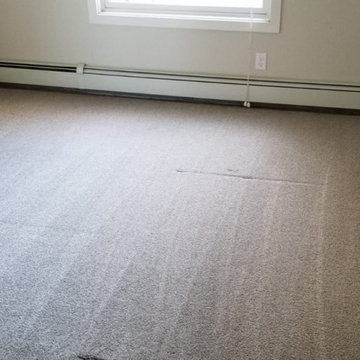 FON Professional Carpet Cleaning and Upholstery Services