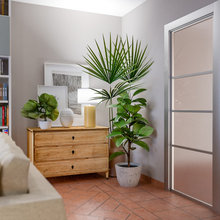 Shane lounge room