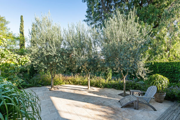 Modern Garden by Stephen Read Landscape Design