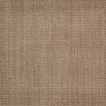 study rug