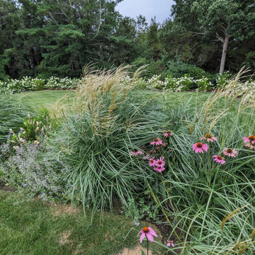 Jericho Planting