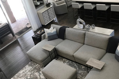 Living room - modern living room idea in Tampa