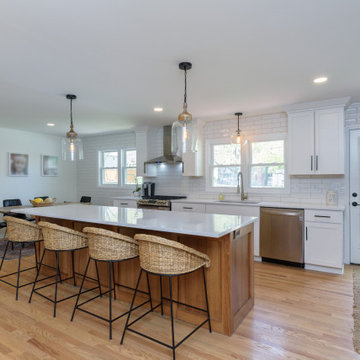 Whole House Remodel