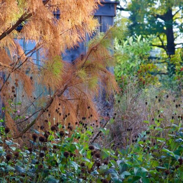 Narberth, PA - Landscape Restoration & Hardscaping