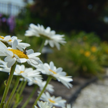 Seaside garden in Rhode Island