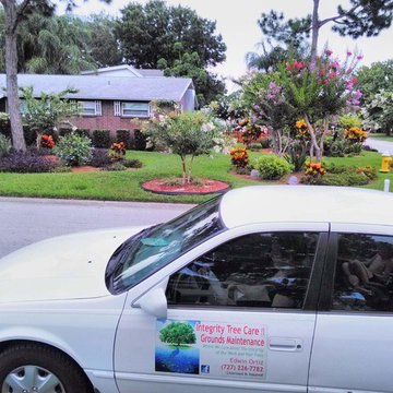 Butterfly Habitat