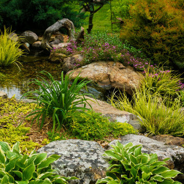 Variety Water Feature Ideas