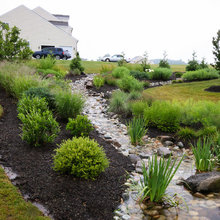 Landscape Ideas