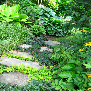Suburban Patios and Hardscape