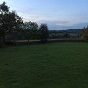 Joanne Wilson's photo