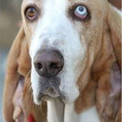 Lina Saleski's photo