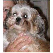Brenda Brady's photo
