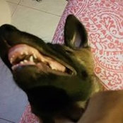 Foto von Dolly Delgado