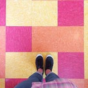 Foto von Jill Olson