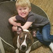 Jennifer Pitter's photo