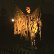 Vicki Shepherd's photo