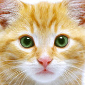 Fiona Whitton's photo