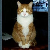 Karen Robbins's photo