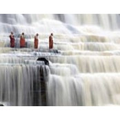 Fabrice J. Laurent's photo