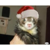 Cheryl Reynolds's photo