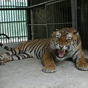 Thomas Glenn's photo