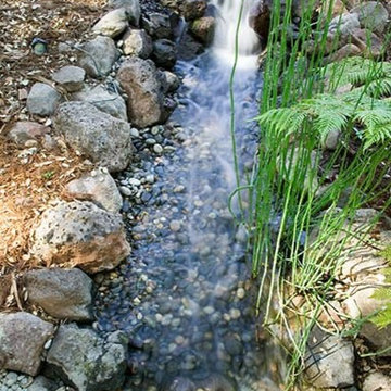 Ponds & Waterfalls from Treasure Valley Water Gardens