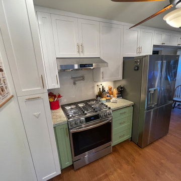 Kitchen Remodel 2024 Oakland/ white and light green